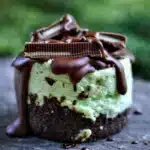 Andes Mint Mini Cheesecakes with Chocolate Topping and Mints